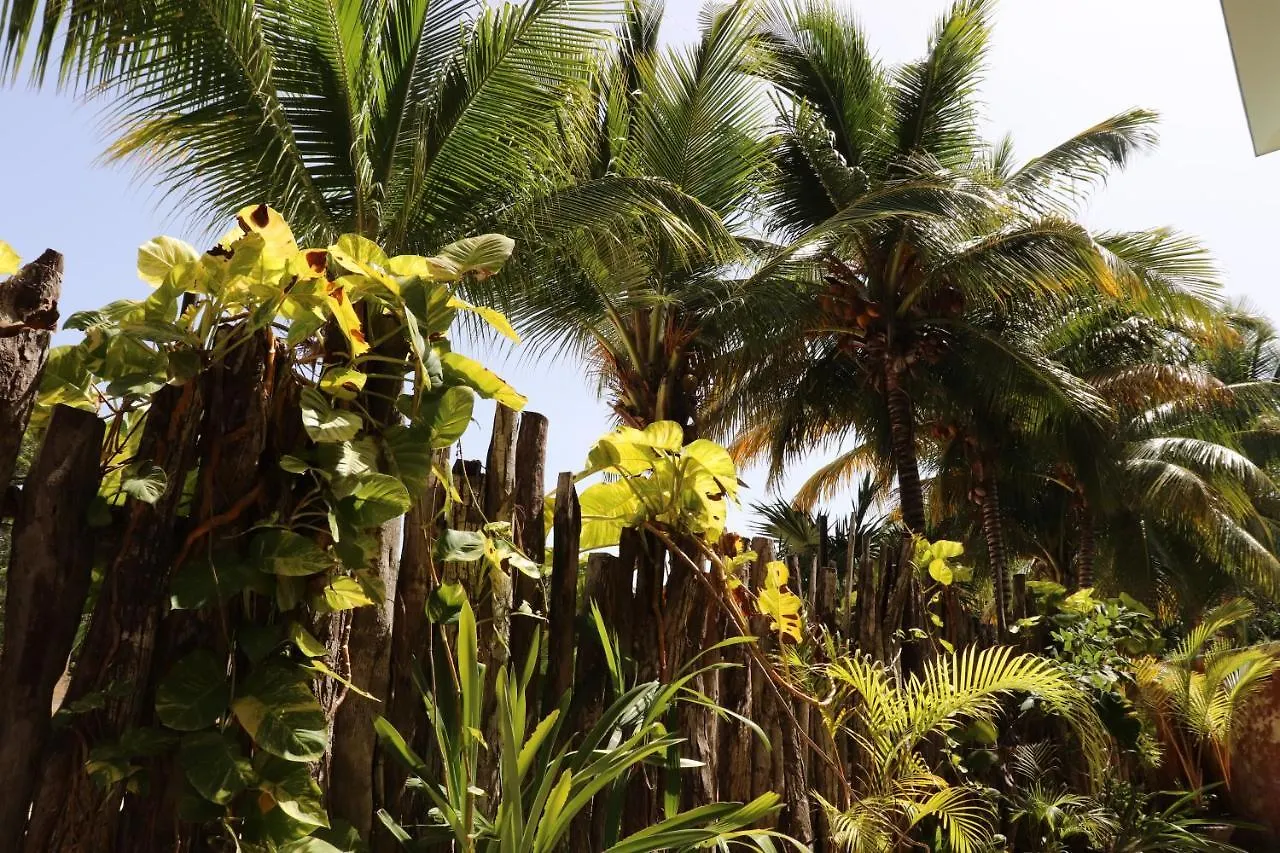 Andrea'S Tulum Hotel
