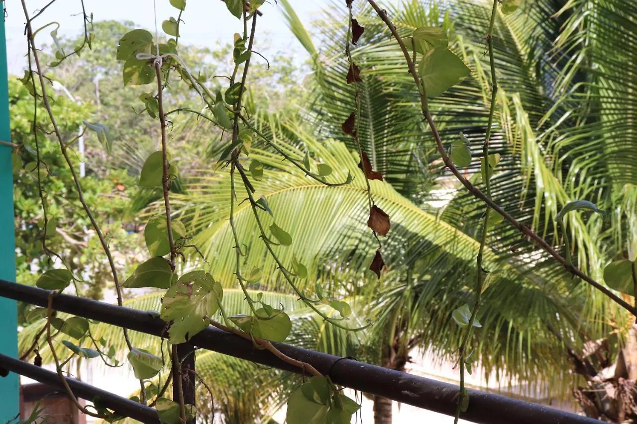 ***  Andrea'S Tulum Hotel Mexico